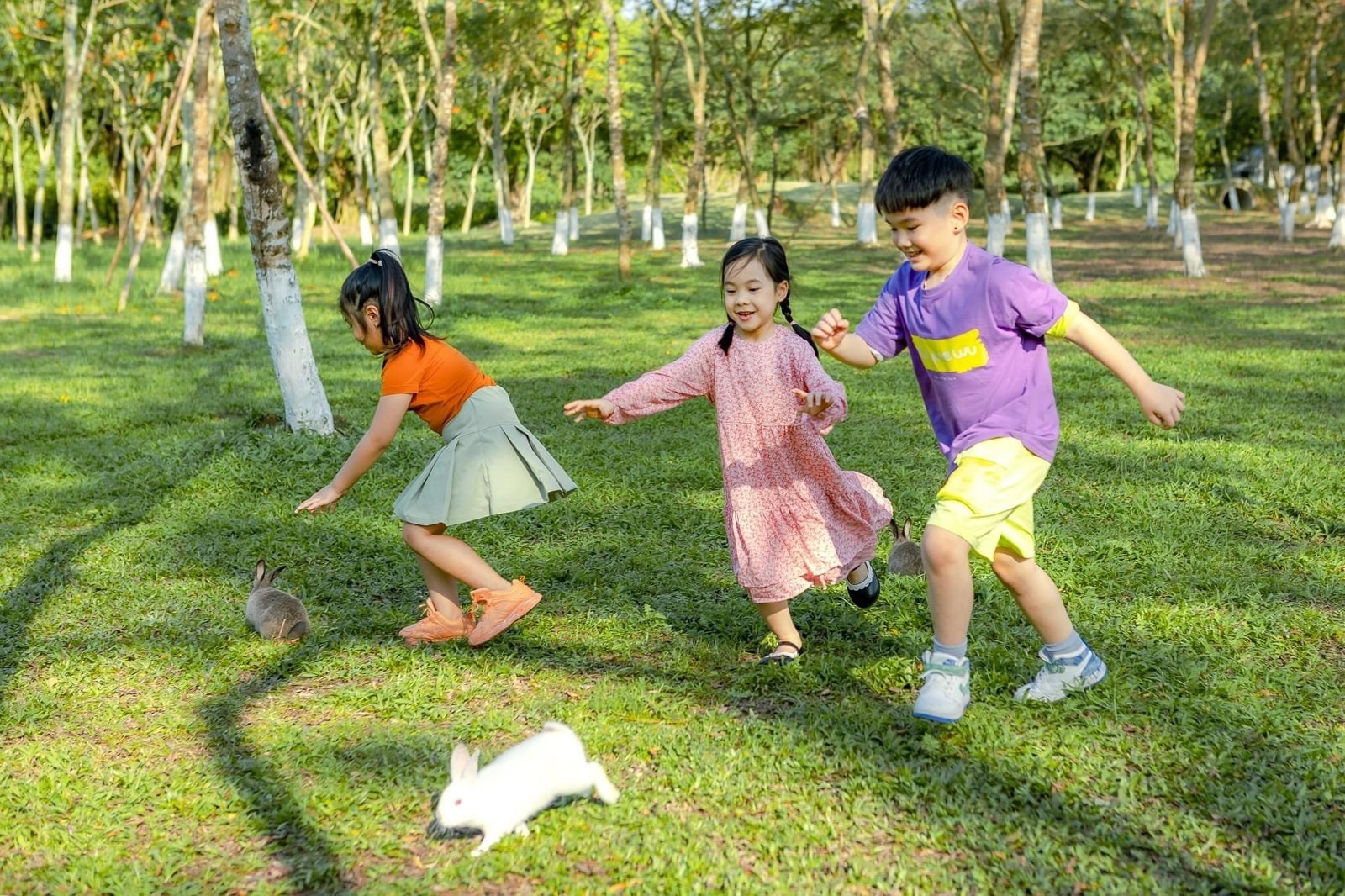 Hồ Thiên Nga Ecopark